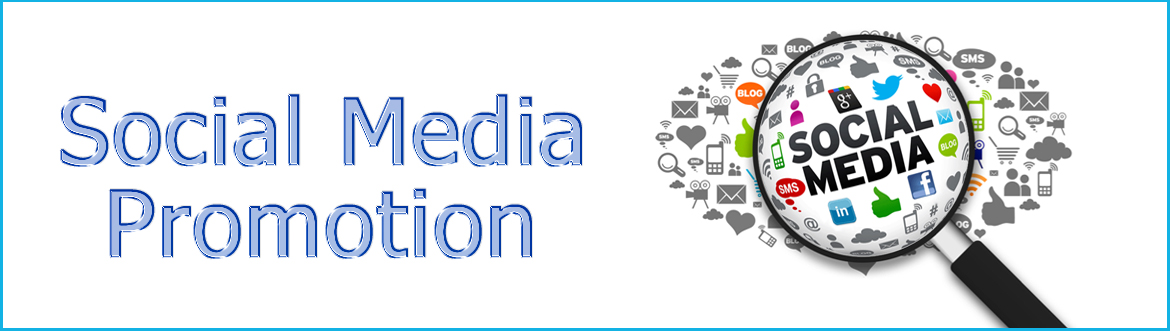Social Media Promotion Services in Delhi