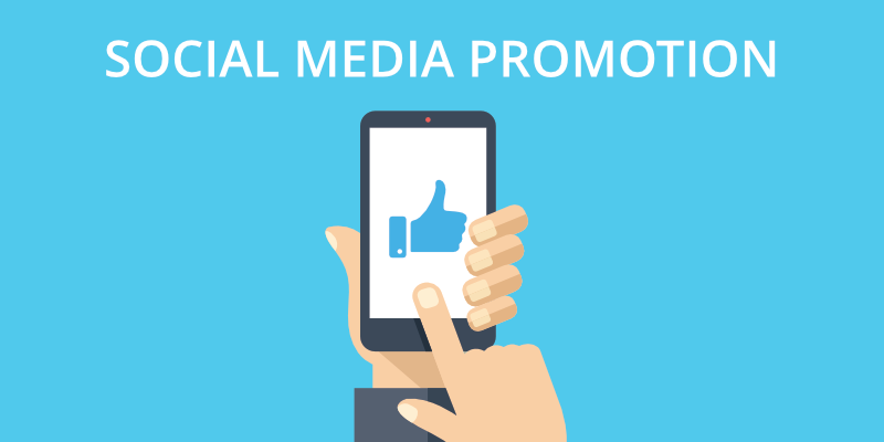 Social Media Promotion Services in New Delhi